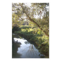 Reflection Photographic Print