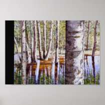 Reflection with Birch Tree Poster
