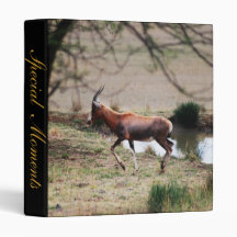 Reflections 3 Ring Binder