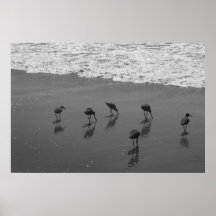 Reflections at the Shore Poster