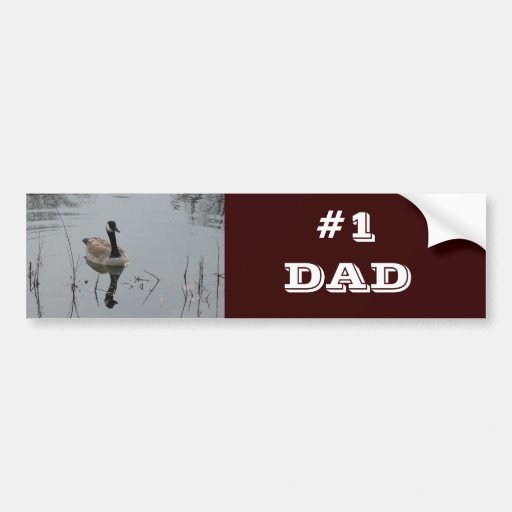 Reflections Bumper Sticker