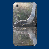 Reflections casemate cases