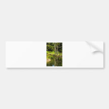 Reflections in nature bumper stickers