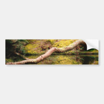 Reflections in the park bumper sticker