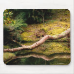 Reflections in the park mousepad