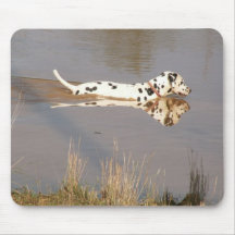 Reflections in the waterhole mouse pad