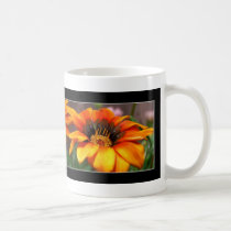 reflections mugs