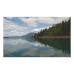 Reflections of Life Stickers