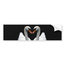 Reflections of Love, Heart Shape, White Swans Bumper Sticker