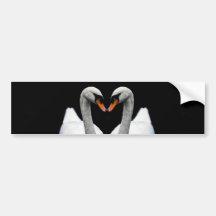 Reflections of Love, Heart Shape, White Swans Bumper Sticker
