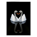 Reflections of Love, Heart Shape, White Swans Greeting Cards