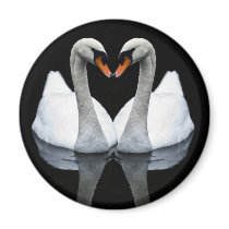 Reflections of Love, Heart Shape, White Swans Refrigerator Magnets