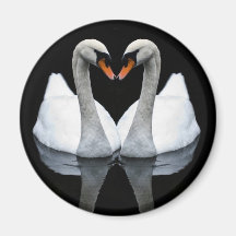 Reflections of Love, Heart Shape, White Swans Refrigerator Magnets