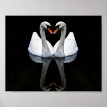 Reflections of Love, Heart Shape, White Swans Print