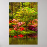 Reflections of Spring Poster