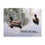 Reflections Post Cards