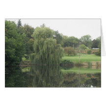 Reflections-Weeping Willow - Blank Card