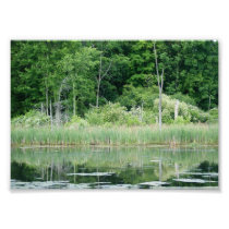 Reflective Lake 7x5 Photographic Print