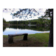 Reflective Morning Moment Post Cards