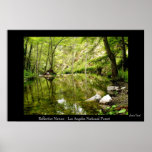 Reflective Nature posters