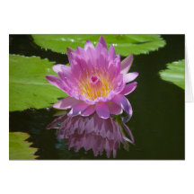 Réflexion rose cartes