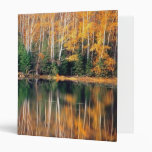 Réflexions d'automne