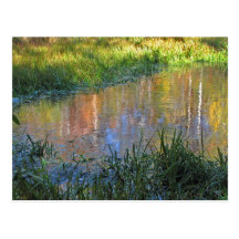 Réflexions de marais d'automne cartes postales
