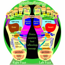 reflexology foot map acrylic cut out