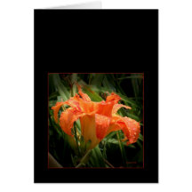 Refreshed Card