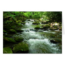 Refreshing Invitation Greeting Card