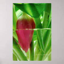 Refreshment Posters