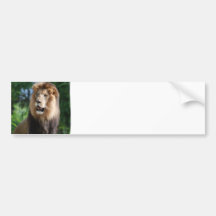 Regal Lion Bumper Sticker
