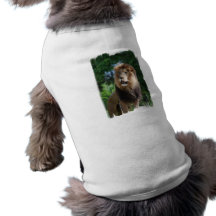 Regal Lion Dog Shirt