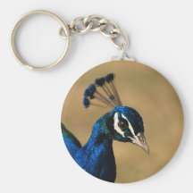 Regal Peacock keychains - customizable