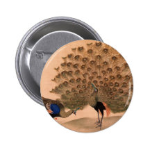 Regal Peacocks Button