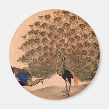 Regal Peacocks Magnet