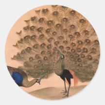 Regal Peacocks Round Sticker