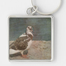 Regard pie de Grunged de pigeon de sommeil Porte-clef