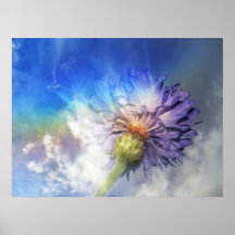 Regenbogen... Plakate