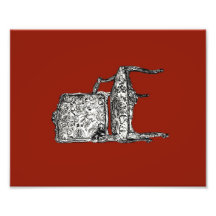 Regency chair in red photo print