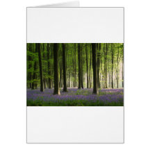 Région boisée de jacinthe des bois carte
