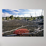 Région de dévastation - cratère de Kiluaea, Hawaï Poster