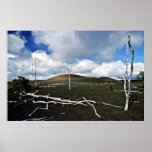 Région de dévastation - volcan de Kiluaea, Hawaï Poster