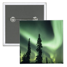 Région des Etats-Unis, Fairbanks, Alaska central,  Badges Avec Agrafe