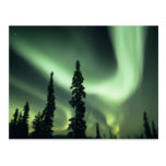 Région des Etats-Unis, Fairbanks, Alaska central,  Cartes Postales