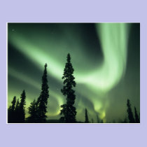 Région des Etats-Unis, Fairbanks, Alaska central,  cartes postales