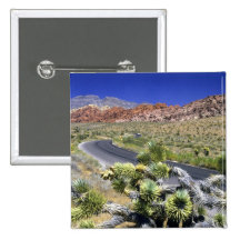 Région nationale de conservation de canyon rouge d badges avec agrafe
