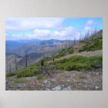 Région sauvage de Kalmiopsis Posters