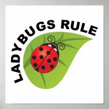 Règle de coccinelles posters