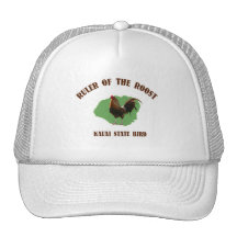 Règle du chapeau de Kauai de perchoir Casquette
